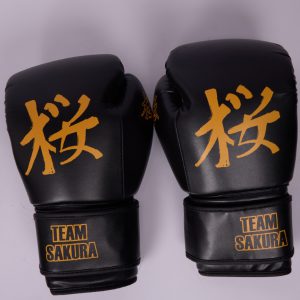 Branded Boxing Gloves
